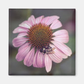 Wilde bloem - Paarse Conefloer / Echinacea Magneet (Voorkant)