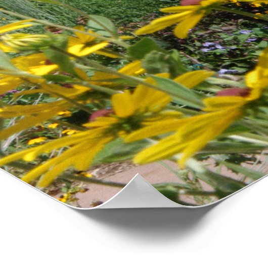 Wilde bloem Panoramiek Poster (Hoek)