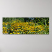 Wilde bloem Panoramiek Poster (Voorkant)