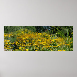 Wilde bloem Panoramiek Poster