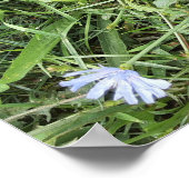 Wilde bloem poster (Hoek)