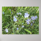 Wilde bloem poster (Voorkant)