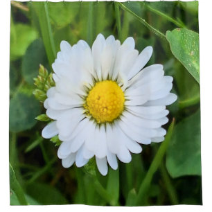Wilde Bloem Roemenië – Botanische Macro Fotografie Douchegordijn