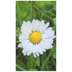 Wilde Bloem Roemenië – Botanische Macro Fotografie Tafelkleed