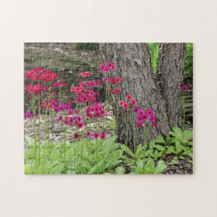 Wilde bloem Roze Primrose Foto Legpuzzel
