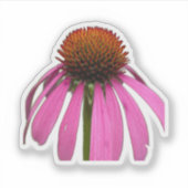 Wilde Bloem Schoonheid – Natuur Foto Sticker (Voorkant)
