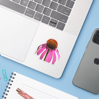 Wilde Bloem Schoonheid – Natuur Foto Sticker