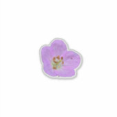 Wilde Bloem Schoonheid – Natuur Foto Sticker (Voorkant)