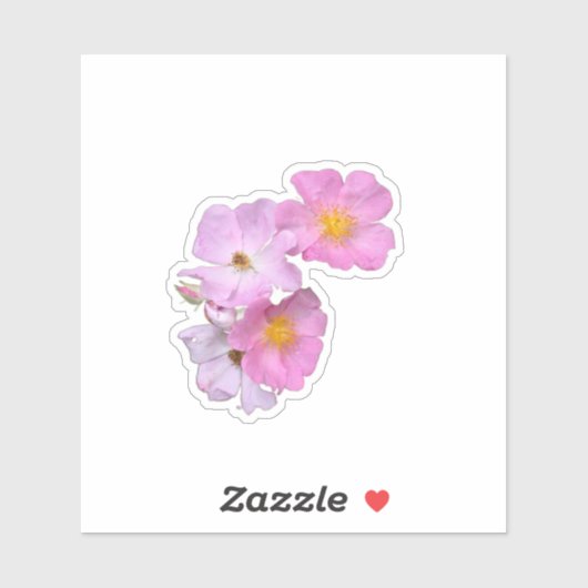 Wilde Bloem Schoonheid – Natuur Foto Sticker (Vel)