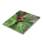 Wilde bloem tegeltje (Zijkant)