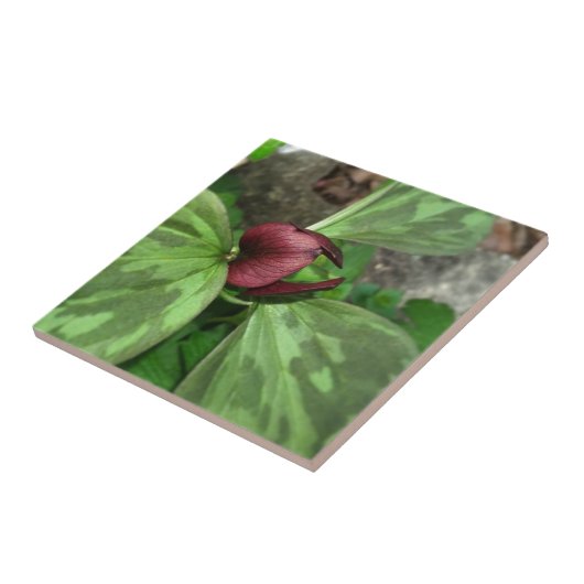 Wilde bloem tegeltje (Zijkant)