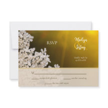 Wilde bloem van koningin Anne' bruiloft