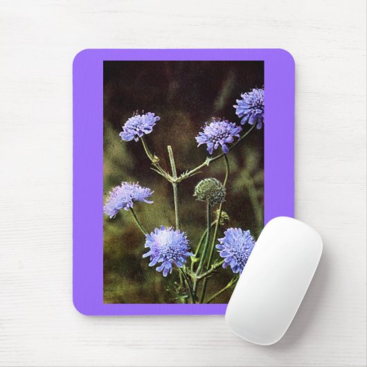 Wilde bloem: veldscabiel muismat (Met muis)