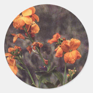 Wilde bloem: Wallbloem Ronde Sticker