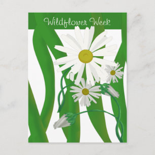 Wilde bloem Week Daisy Briefkaart