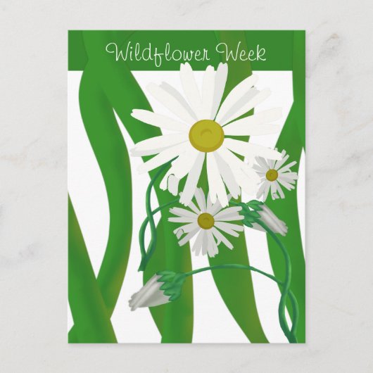 Wilde bloem Week Daisy Briefkaart (Voorkant)
