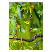 Wilde bloemen (Voorkant)