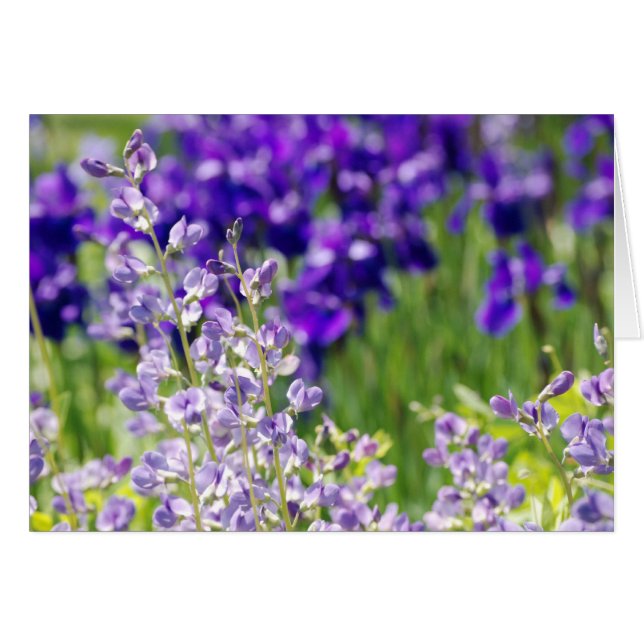 Wilde bloemen (Voorkant Horizontaal)