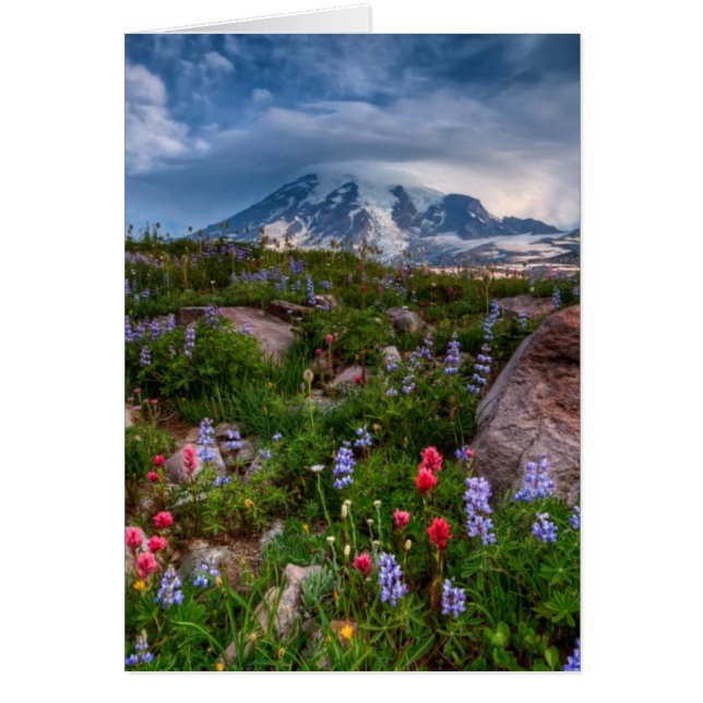 Wilde bloemen (Voorkant)