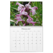 Wilde bloemen 2 van Unalaska Island Kalender (Feb 2027)