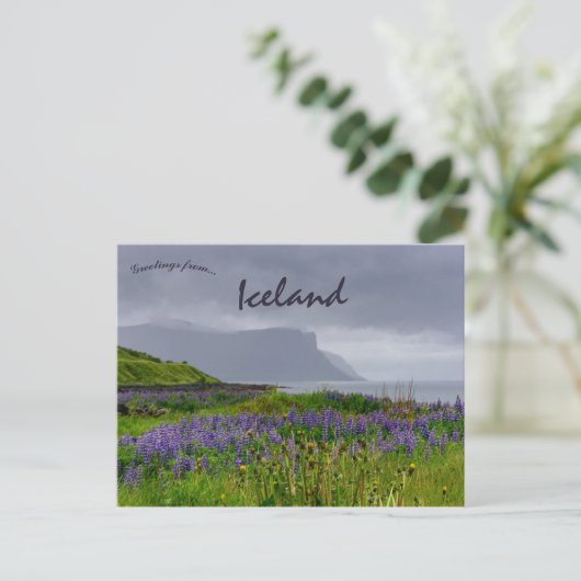 Wilde bloemen aan de kust van Thingeyri IJsland Briefkaart (Staand voorkant)