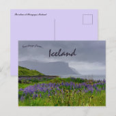 Wilde bloemen aan de kust van Thingeyri IJsland Briefkaart (Voorkant / Achterkant)