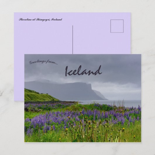Wilde bloemen aan de kust van Thingeyri IJsland Briefkaart (Voorkant / Achterkant)