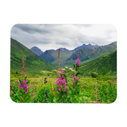 Wilde bloemen Alaskaanse vallei Magneet (Horizontaal)
