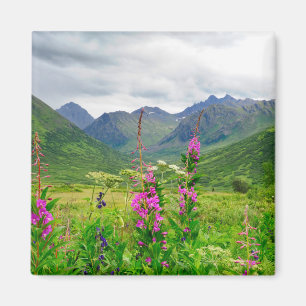 Wilde bloemen Alaskaanse vallei Magneet