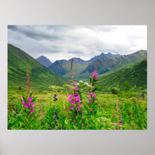 Wilde bloemen Alaskaanse vallei Poster