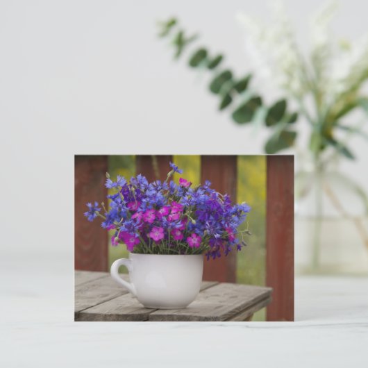 wilde bloemen, anjers en cornbloemen briefkaart (Staand voorkant)