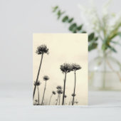 Wilde bloemen (B&W) Briefkaart (Staand voorkant)