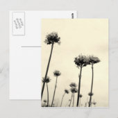 Wilde bloemen (B&W) Briefkaart (Voorkant / Achterkant)
