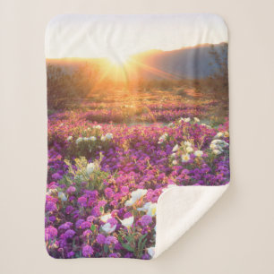 Wilde bloemen bij zonsondergang   Anza-Borrego woe Sherpa Deken