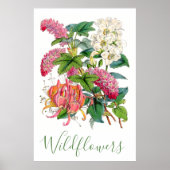  wilde bloemen, bijtende katoenhoudende bloemen poster (Voorkant)