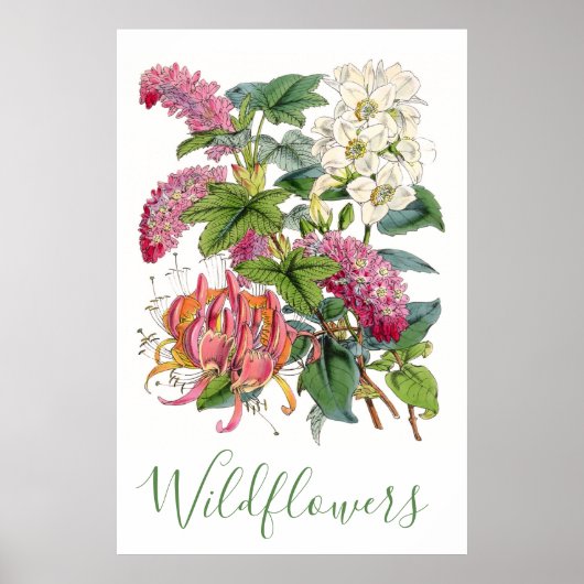  wilde bloemen, bijtende katoenhoudende bloemen poster (Voorkant)