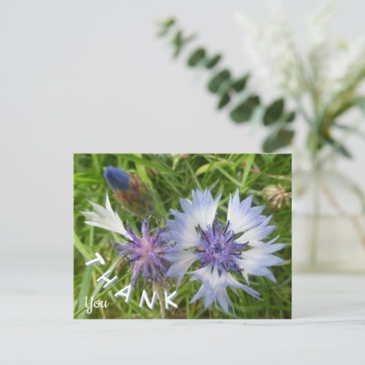 Wilde bloemen: Blauwe korenbloemen dank u Briefkaa Briefkaart (Staand voorkant)