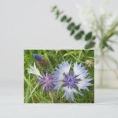 Wilde bloemen: Blauwe korenbloemen DIY Briefkaart (Staand voorkant)