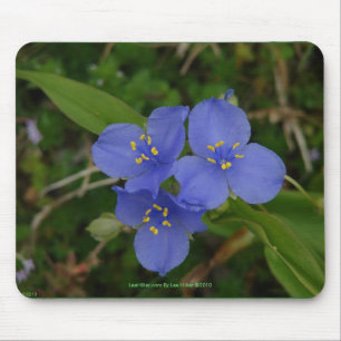 Wilde bloemen Blauwe Spiderwort Hot Springs AR cad Muismat