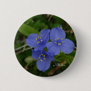 Wilde Bloemen Blauwe Spiderwort Hot Springs AR Cad Ronde Button 5,7 Cm