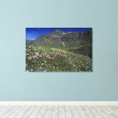 Wilde bloemen, bloemen, Alpen, Zwitserland Canvas Afdruk (Insitu (Houten vloer))