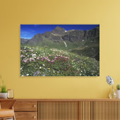 Wilde bloemen, bloemen, Alpen, Zwitserland Canvas Afdruk (Insitu (Woonkamer))