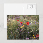 Wilde bloemen briefkaart (Voorkant / Achterkant)