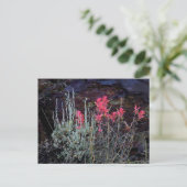 Wilde bloemen briefkaart (Staand voorkant)