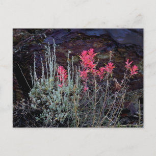 Wilde bloemen briefkaart