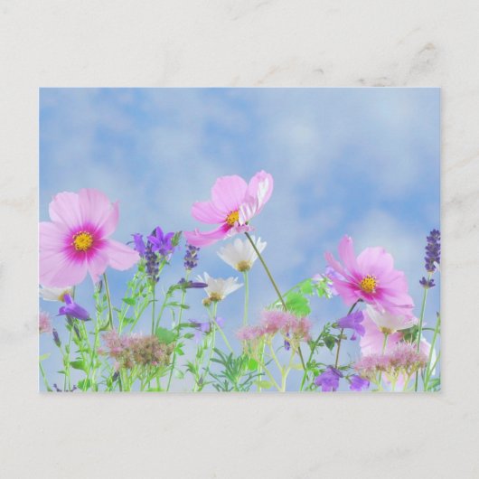 Wilde bloemen briefkaart (Voorkant)