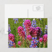 Wilde bloemen briefkaart (Voorkant / Achterkant)