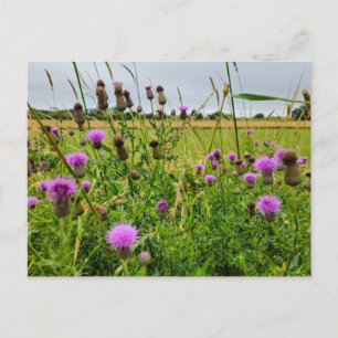 Wilde bloemen  briefkaart