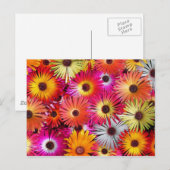 wilde bloemen briefkaart (Voorkant / Achterkant)