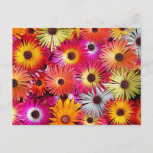 wilde bloemen briefkaart